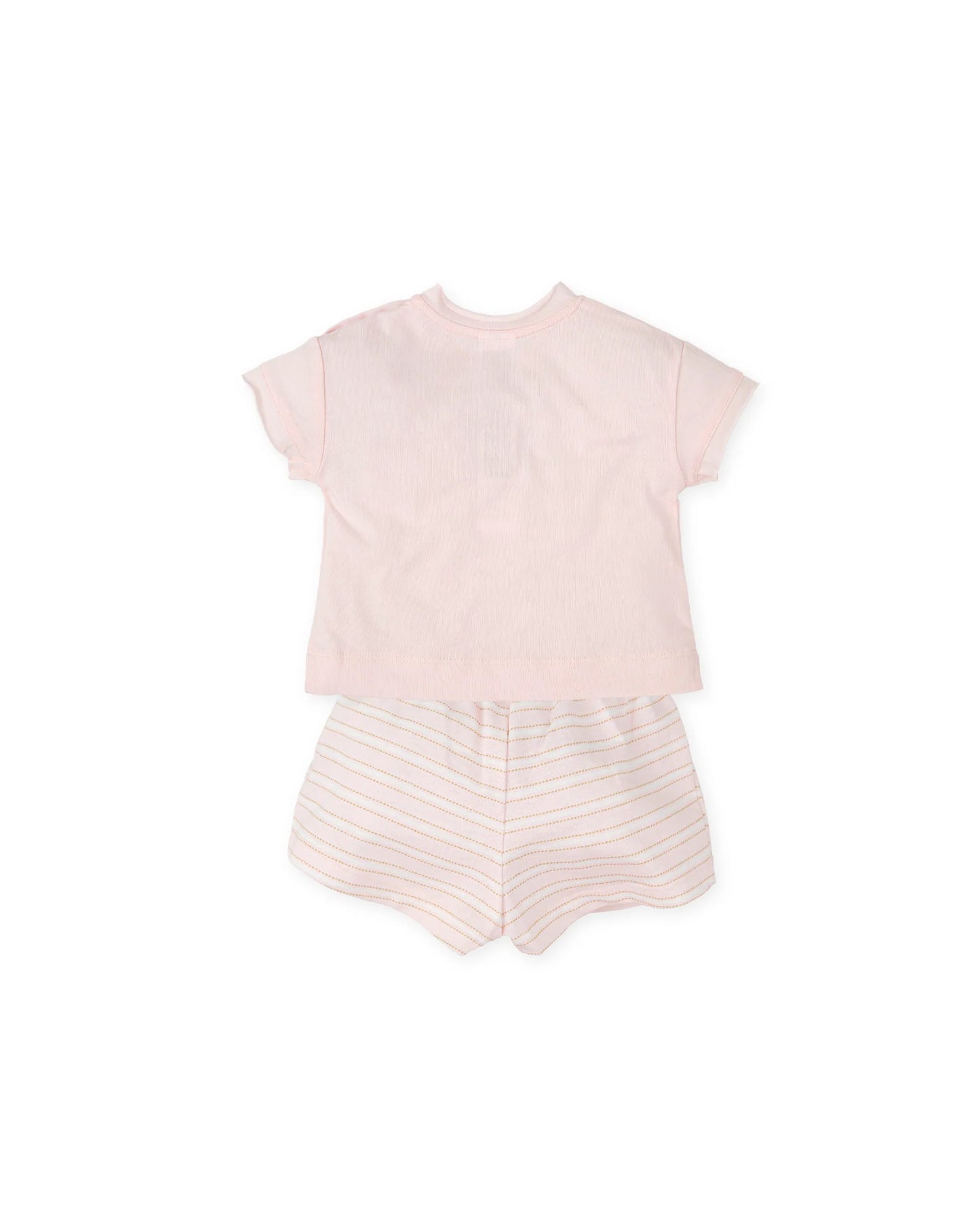 POCKET PUPPY SET