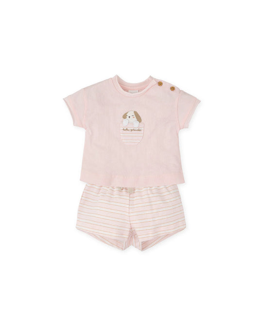 POCKET PUPPY SET